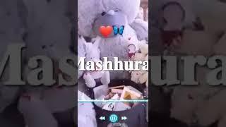 Mashhura ismiga video