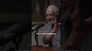 Алексей Семихатов. Суперпозиции возможных исходов. #наука #science #shorts