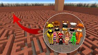 WHAT THEY WANT TO DO WITH MISS YELLOW, MISS RED, MISS ORANGE? In Garry's Mod