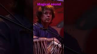 Zhakirbhai magical sounds #shaileshvartak #tabla #song #music #magic #mahadev