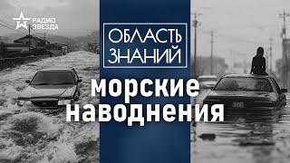 Почему повышение среднего уровня Мирового океана опасно для жителей земли? Лекция Игоря Медведева