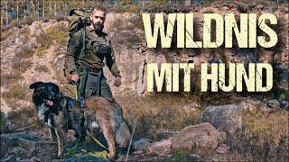 In die Wildnis mit Hund - Vorbereitung erstes Biwak