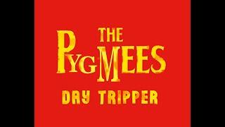 Day Tripper | Beatles Cover by the Pygmees, Far out!