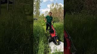 Multi attrezzo P70EVO con piatto falciatutto - Multi-tools P70EVO grassland mower | EUROSYSTEMS