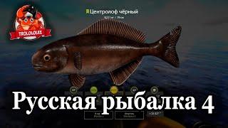 Русская рыбалка 4 Фарм на норвежском море