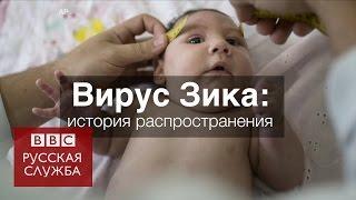 Вирус Зика: история распространения