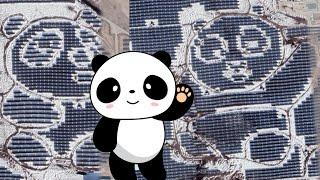 World's Largest Panda Shape Made From Solar Panels