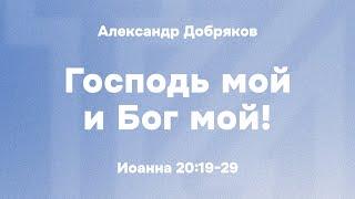 Александр Добряков «Господь мой и Бог мой!»