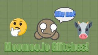 Moomoo.io all 6 Glitches!