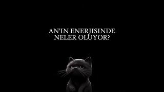 AN’IN ENERJİSİNDE NELER OLUYOR? ZİHNİNDEN SİZİNLE İLGİLİ NELER GEÇİYOR? #tarot  #anınenerjisi