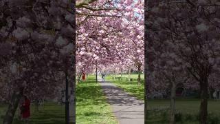 BEAUTY OF NATURE   Vineeta Chauhan   www.vineetachauhan.co.uk