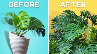 If I Only Knew These Plant Tips 5 Years Ago