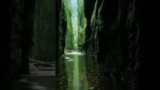 Красивая природа и музыка