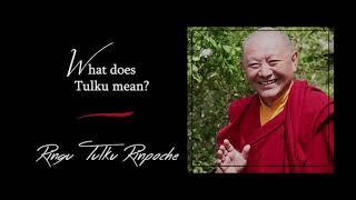 32. What does “Tulku” mean? | Answers for Beginners | Ringu Tulku Rinpoche