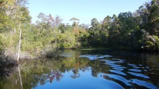 Horseshoe Creek, ACE Basin, South Carolina