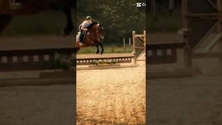 First lesson backkk #chip #horse #equestrian #chip #chunkychip