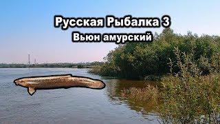 Русская рыбалка 3. Вьюн амурский. Редкости