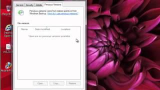Fix ws2_32.dll error in Windows 7