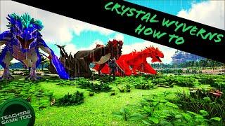 CRYSTAL WYVERNS: HOW TO TAME/BREED/WHAT THEY DO