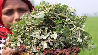 FARM FRESH Seci shak & Shrimp Vaji Recipe Delicious Seci shak vaji Vegetable Fry Recipe Village Food