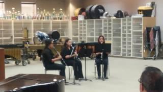 The voyage-clarinet trio
