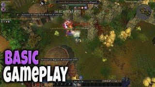 Basic Gameplay | Din's Legacy