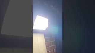 LED Wall Pack Light