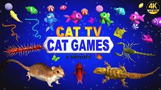 CAT GAMES | ULTIMATE CAT TV COMPILATION FOR FELINE FRIENDS | GAMES FOR CATS  4K 8-HOURS