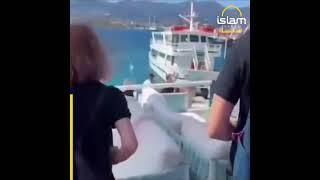 Israelis arriving in Cyprus met with pro-Palestinian chants from locals | Islam Channel