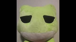 i am froggy!