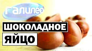 Галилео | Шоколадное яйцо  [Chocolate egg]