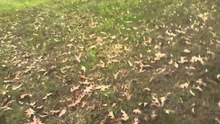 Colonel Reb vs Tannerite