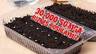 30 000 So'mga biznes boshlaymiz!