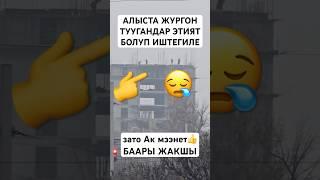АК МЭЭНЕТ️ #тикток #моялошадь #дуэт #лошадки #юмор #тренд #прикол #танцы
