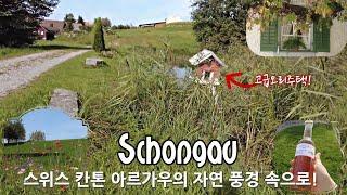 Schongau/스위스 산책로 탐험, 자연풍경, 힐링풍경, Exploring Swiss trails, natural scenery of switzerland