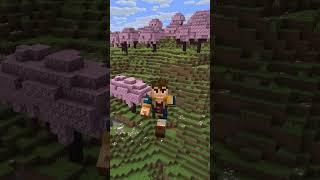 Вы НЕ Знали Эти Лайфхаки  #minecraft #майнкрафт #shorts