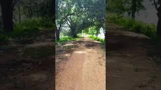 A road to the lake in Sri Lanka