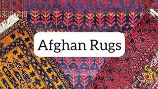 Afghan Rugs in Chicago | Tribal Rugs from Afghanistan #orientalrugs #afghanistan #ruglove