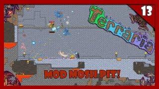 Terraria Mod Moshpit 13! Buried Champion and Fungus Beetle!