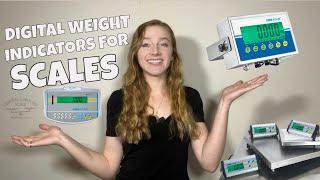 Digital Weight Indicators for Scales