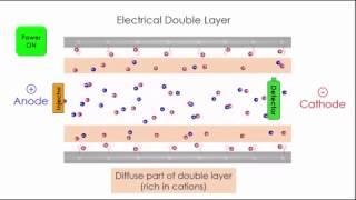 Capillary Electrophoresis