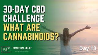 What Are Cannabinoids?