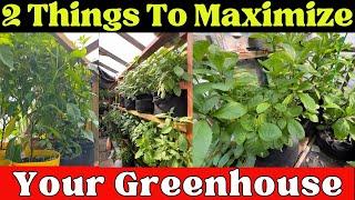 Two Major Things You Can Do to Maximize the Greenhouse