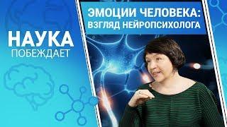 Эмоции человека: взгляд нейропсихолога | Наука побеждает