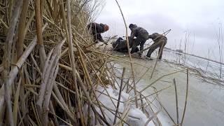 Зимняя рыбалка на крупного окуня. 27.01.2018.