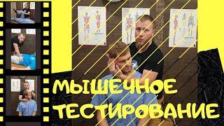 Мануально-мышечное тестирование