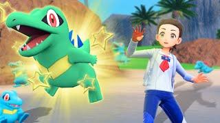 I Speedran Catching 100 Shiny Pokemon