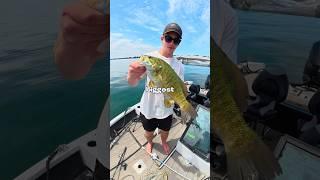 I Caught the Biggest Fish 