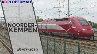 Trains on Noorderkempen station - July 17th, 2019