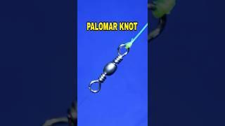 Simple Fishing Knot Technique - How To Tie Palomar Knot